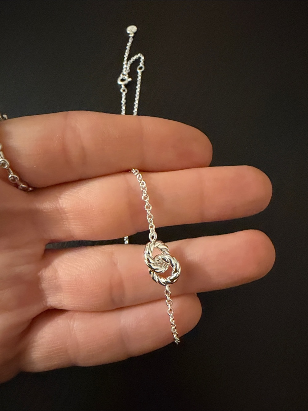 Gorjana Crew Interlocking Necklace- Silver - Picture 2 of 3